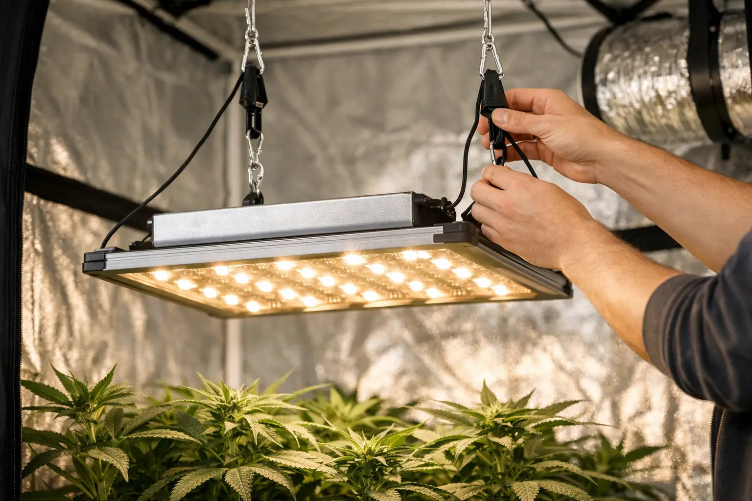 Growbox Beleuchtung richtig aufhängen