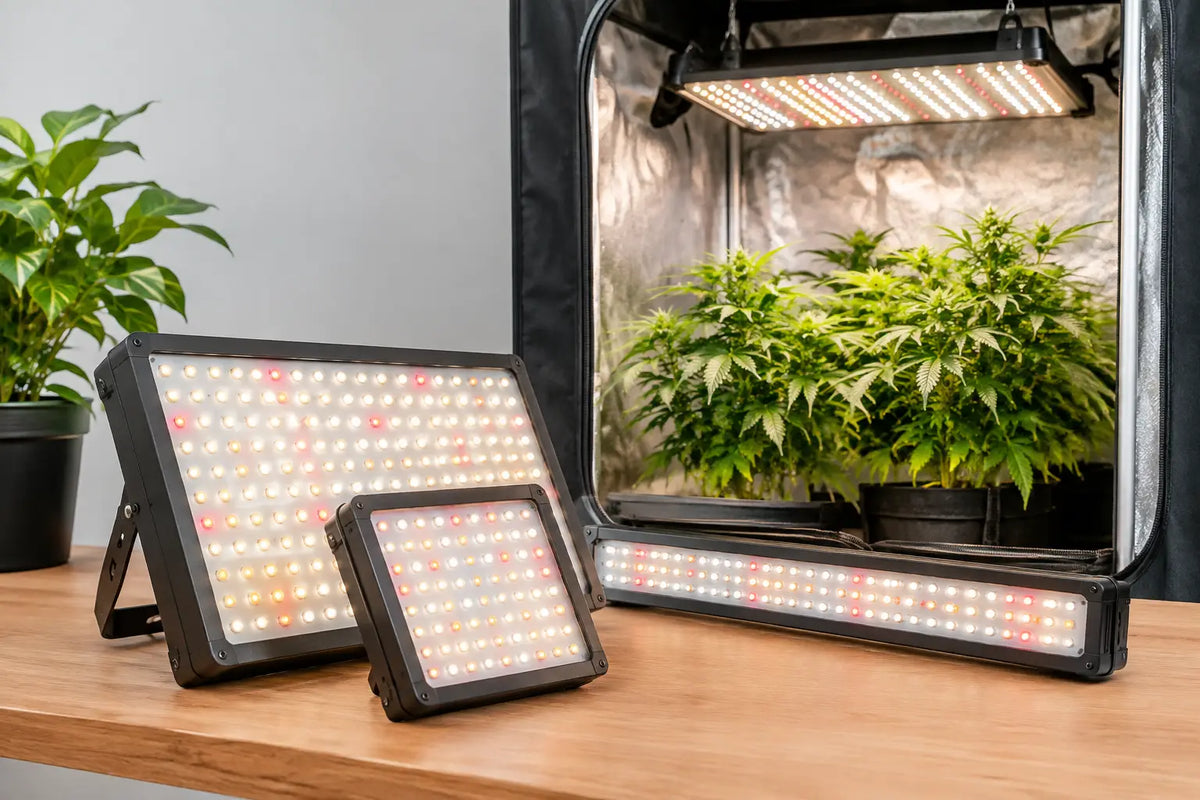 LED Growlampen richtig wählen für deine Growbox