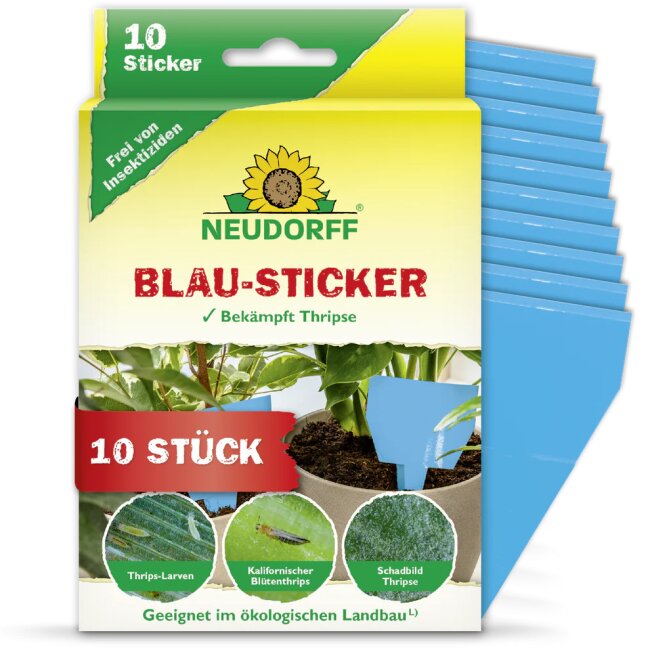 10 Stück Blausticker gegen Thripse & fliegende Pflanzenschädlinge