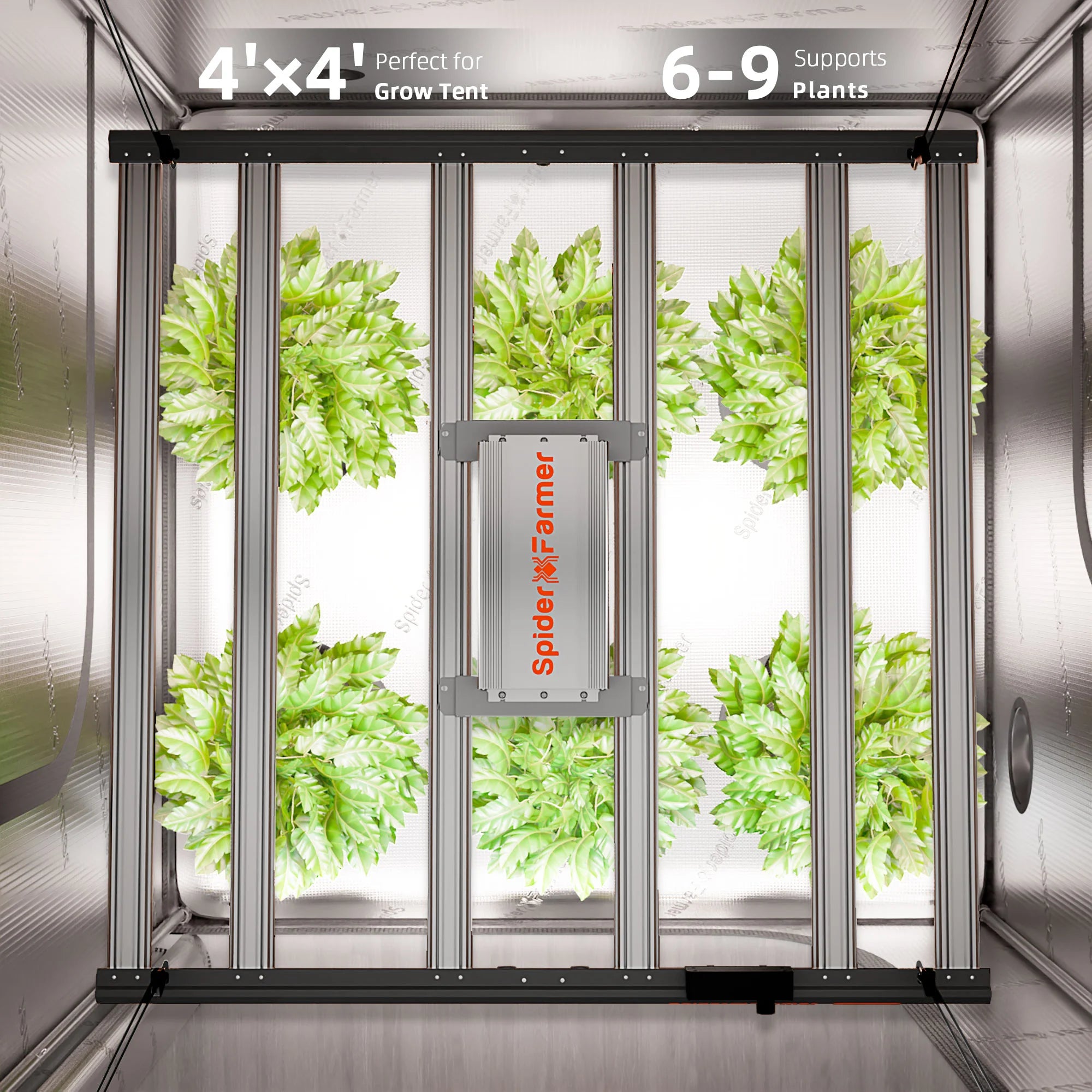 Komplettset (240x240x200 cm) 1920 Watt G5000 EVO LED mit GGS für smarte Steuerung