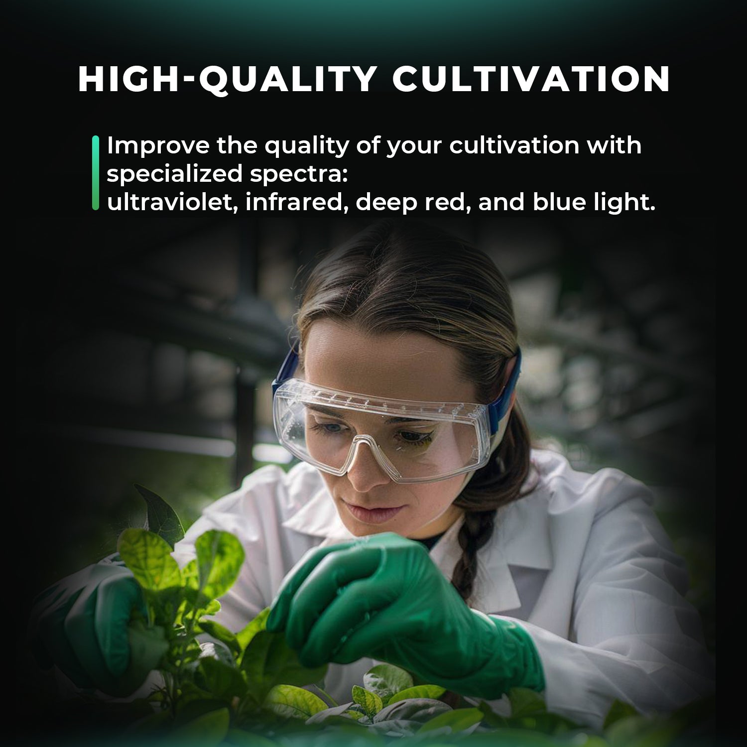 ADlite Rot und Blau LED Zusatzbeleuchtung 108 Watt