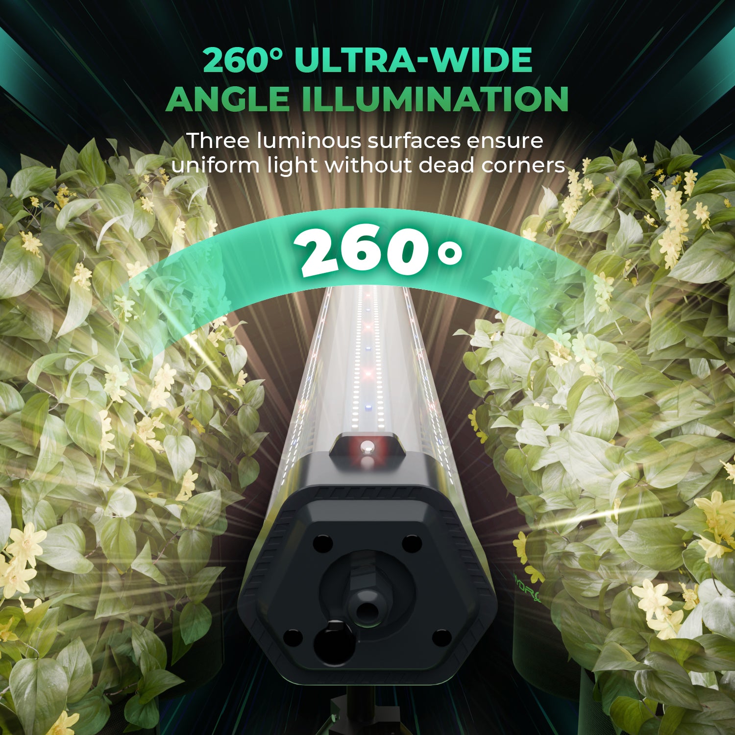 ADlite 100 Vollspektrum LED Zusatzbeleuchtung mit 100 Watt und 260° Abstrahlwinkel
