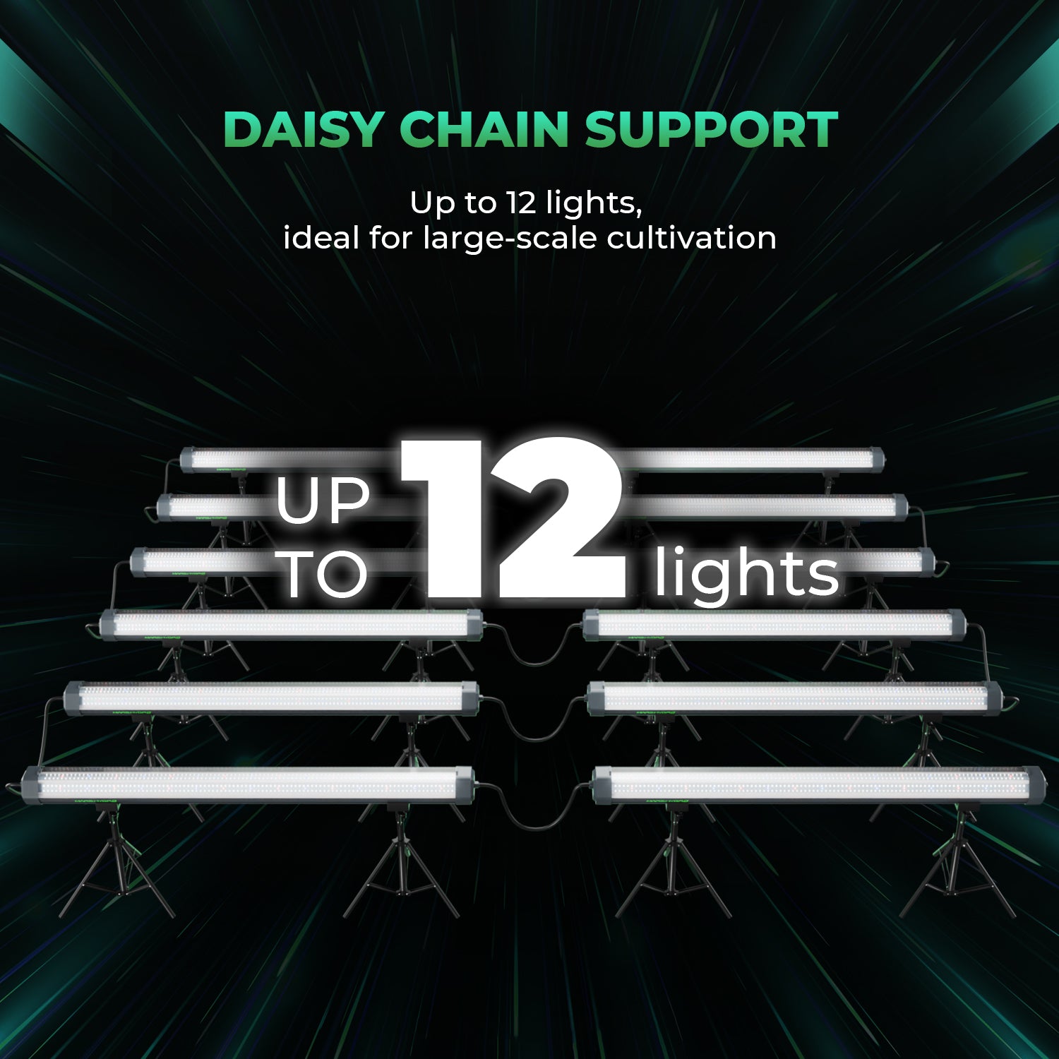 ADlite 100 Vollspektrum LED Zusatzbeleuchtung mit 100 Watt und 260° Abstrahlwinkel