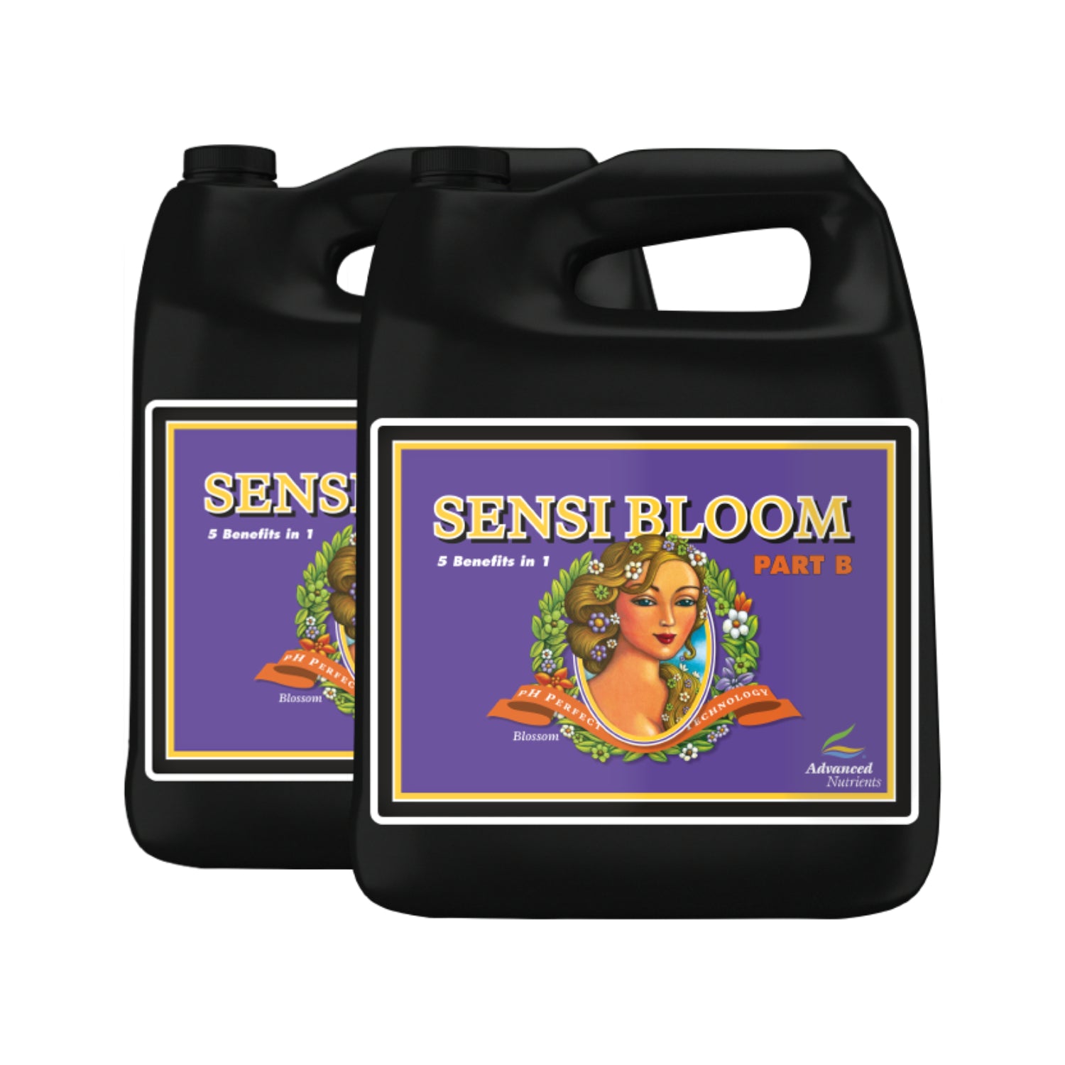 pH Perfect Sensi Bloom A + B Blütedünger