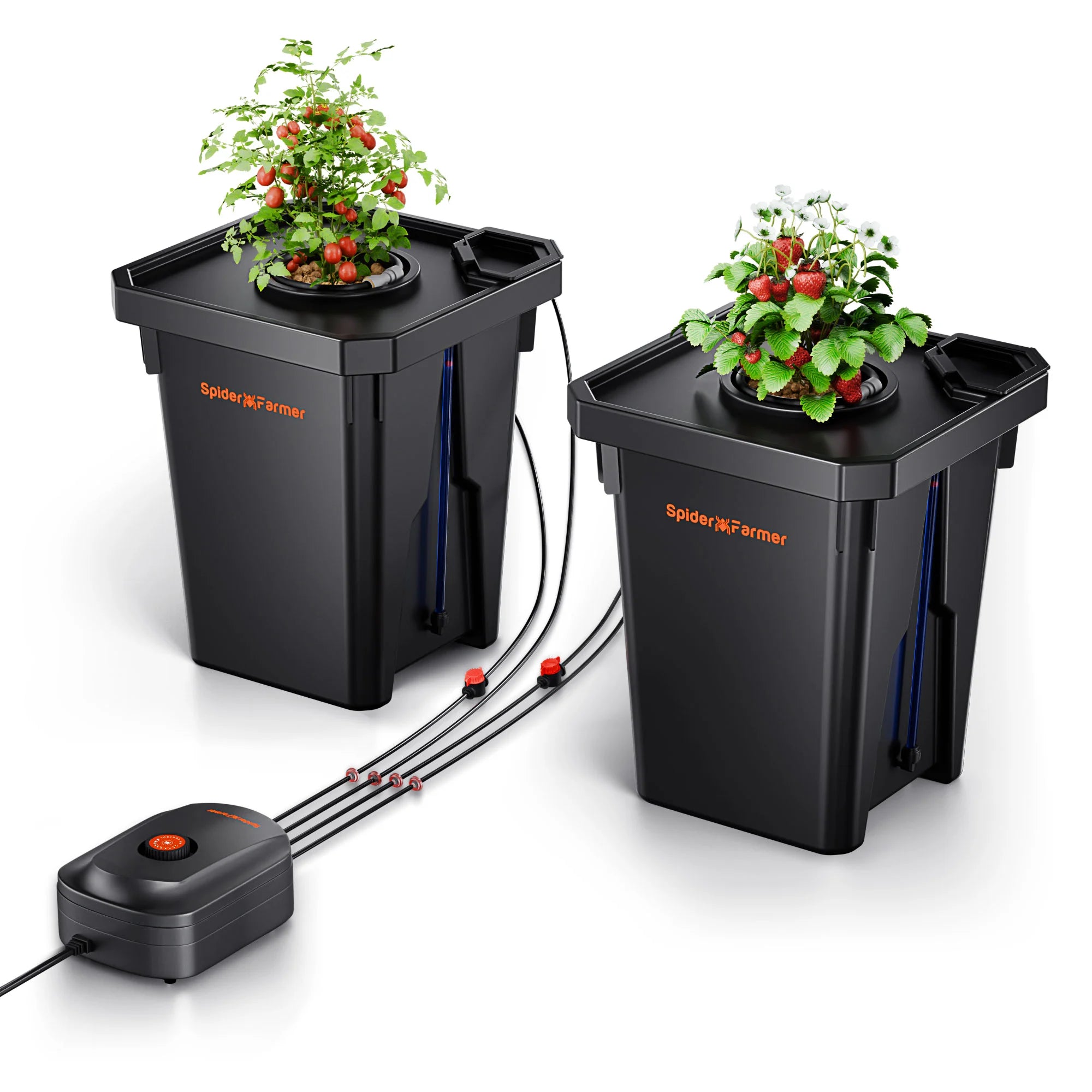Tiefwasserkultur (DWC) Hydroponik-System mit 2 Töpfen