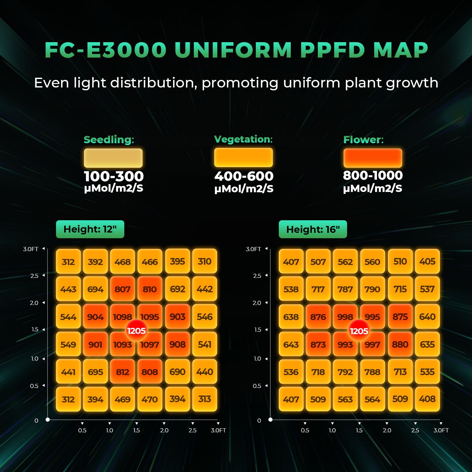 Komplettset (100x100x180 cm) 300 Watt FC-E 3000 LED