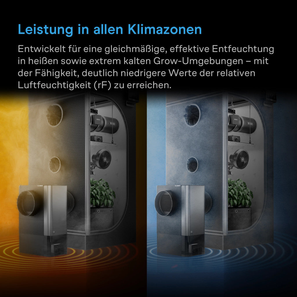 HYDRONE 5 smarter Luftentfeuchter mit KI-gestützter VPD-Steuerung