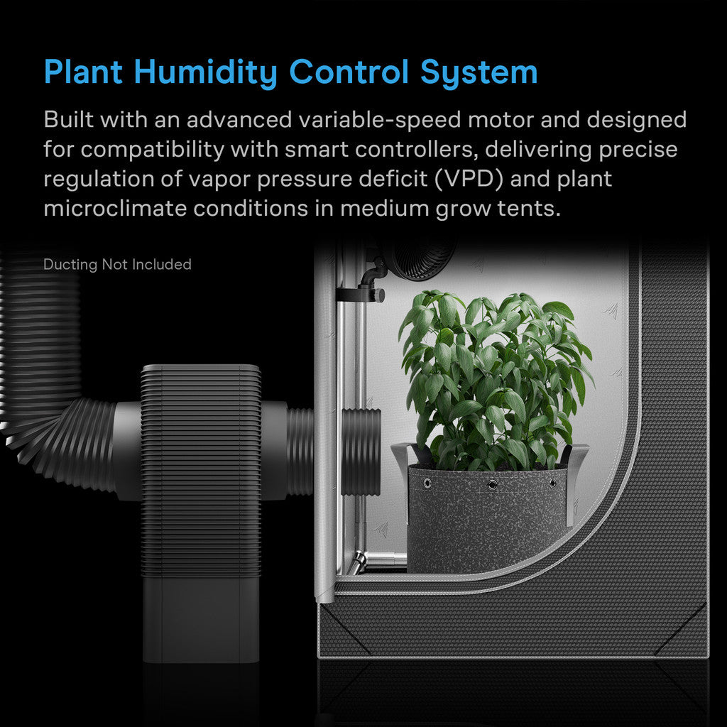 HYDRONE 5 smarter Luftentfeuchter mit KI-gestützter VPD-Steuerung