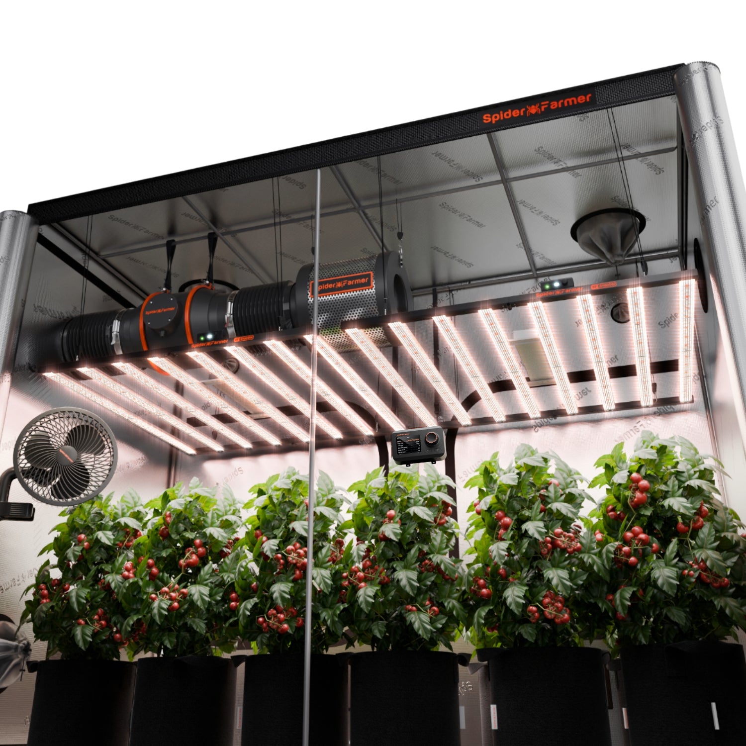 Komplettset (300x150x200 cm) 2000 Watt SE1000W EVO LED mit GGS für smarte Steuerung