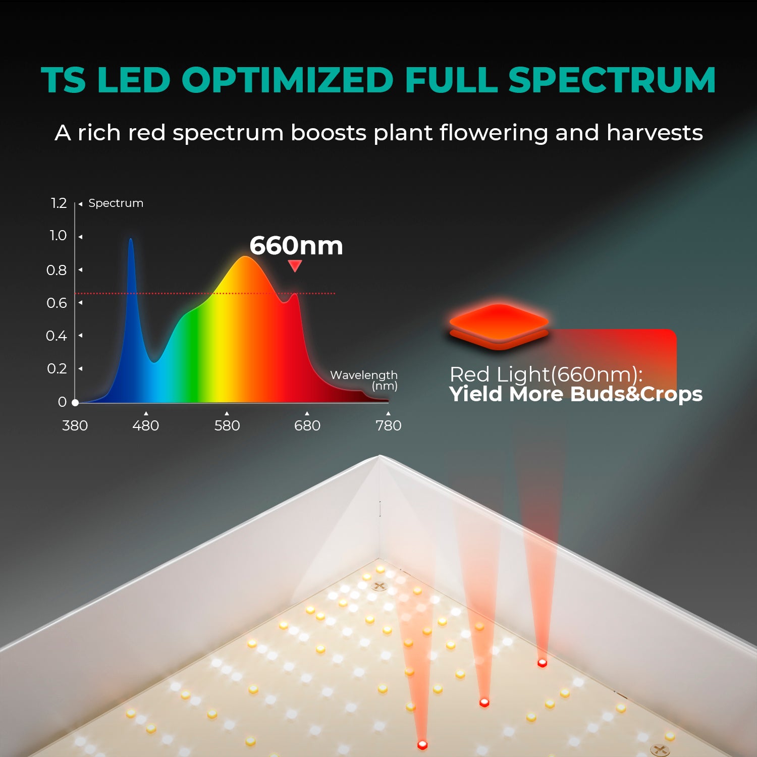Komplettset (120x60x180 cm) 300 Watt TSL LED