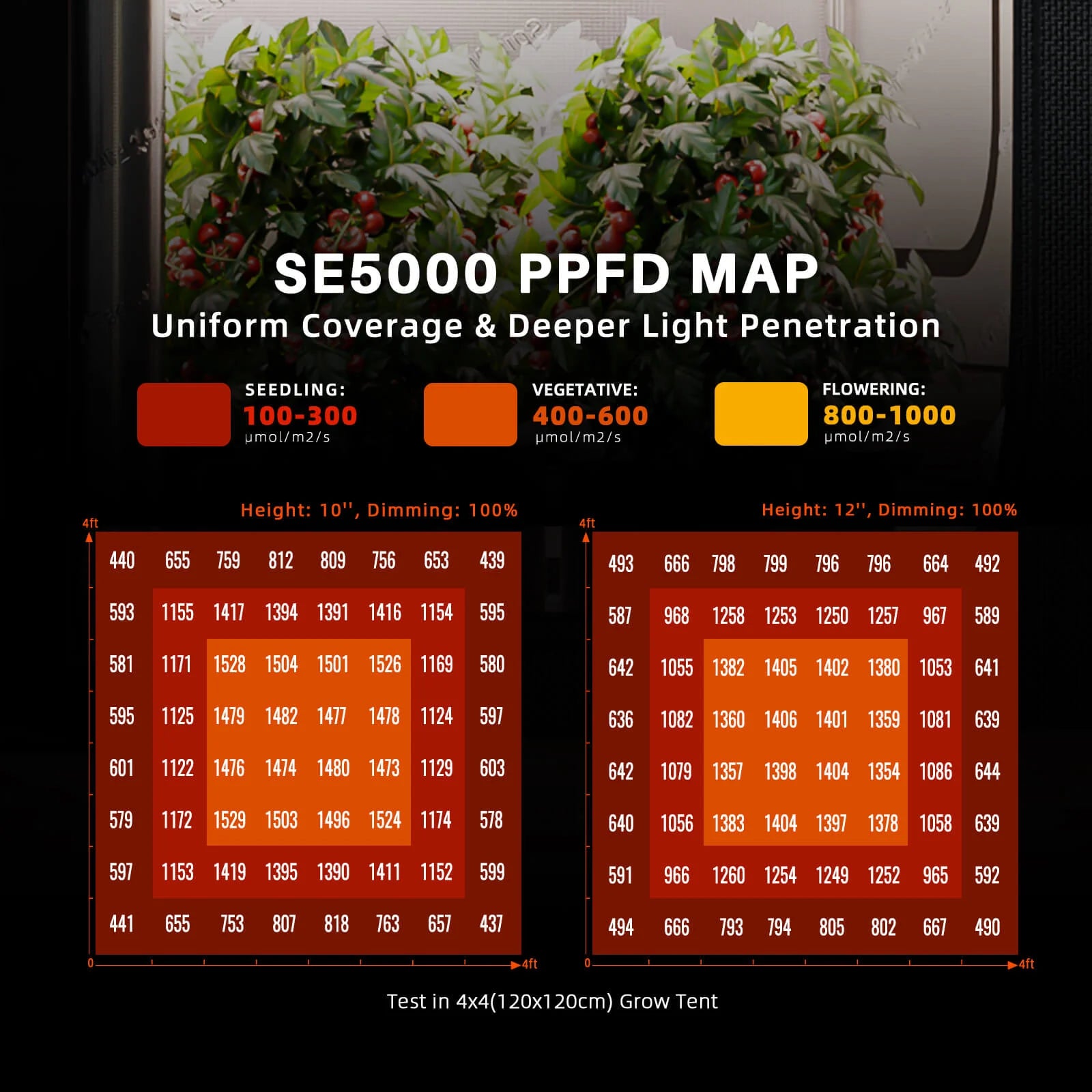 Komplettset (240x240x200 cm) 1920 Watt SE5000 EVO LED mit GGS für smarte Steuerung