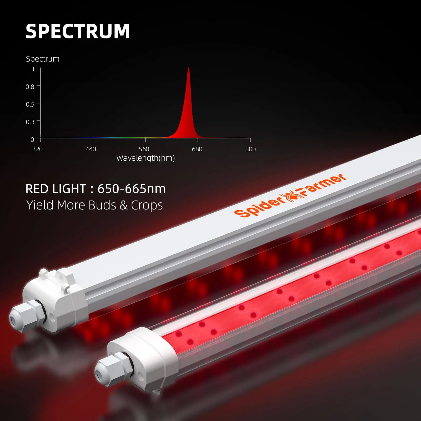 GlowR80 Deep Red LED Zusatzbeleuchtung 80 Watt