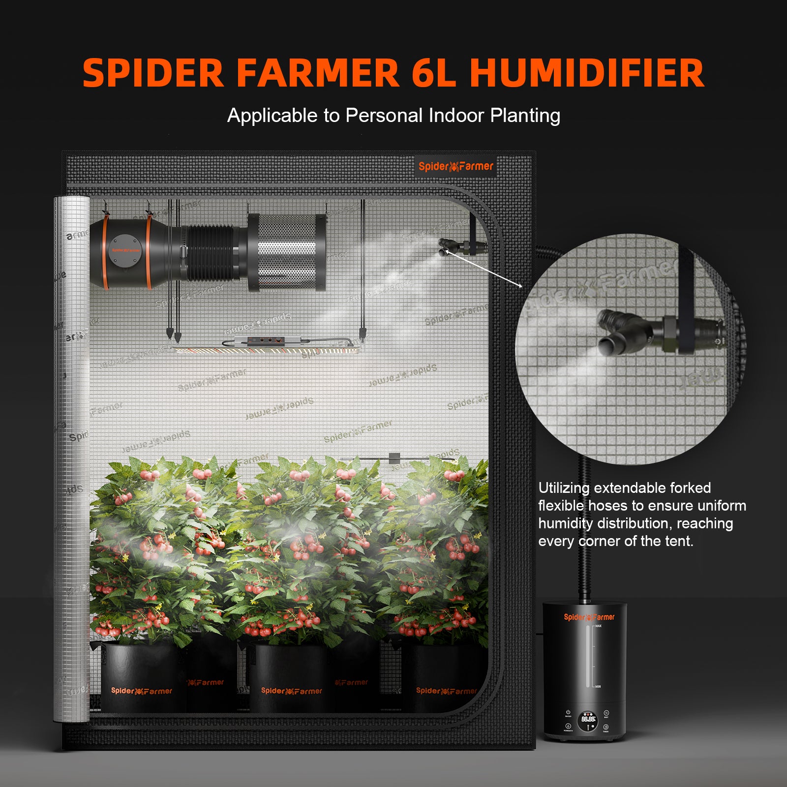 Komplettset (90x90x180 cm) 300 Watt SE3000 EVO LED mit GGS für smarte Steuerung