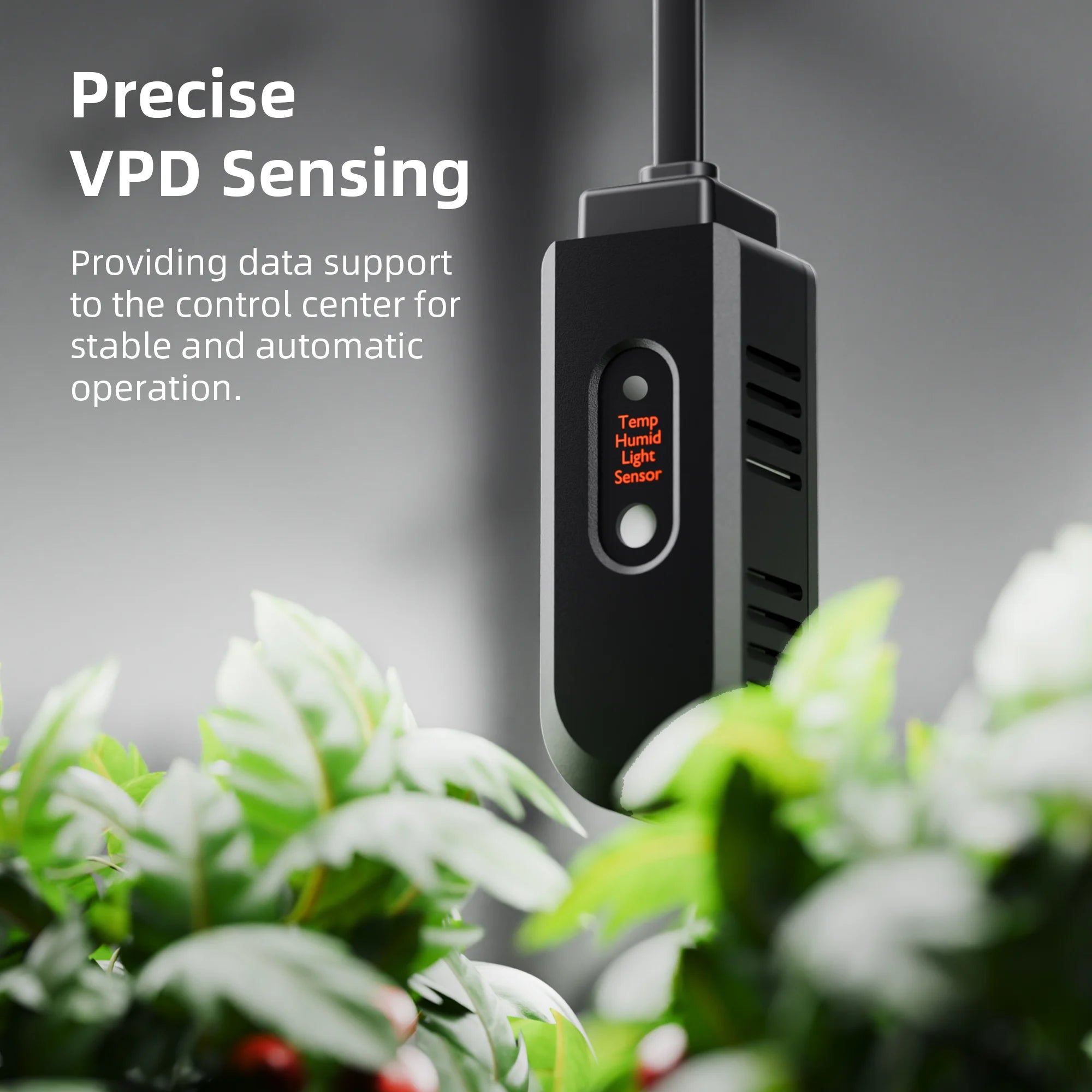 GGS AC5 Smarte Steckdosenleiste mit Temperatur-, Feuchtigkeits- und Lichtsensor