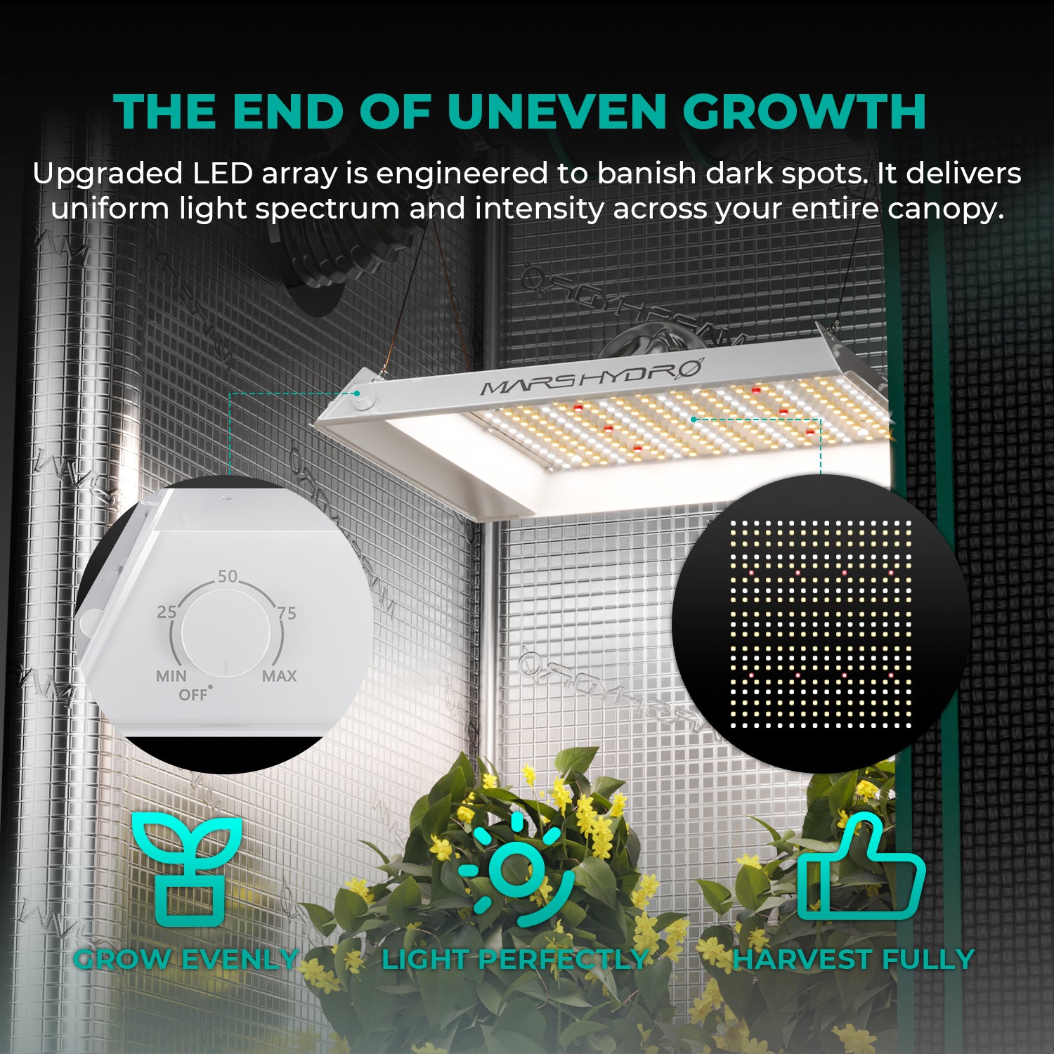 TS 600 LED 100 Watt