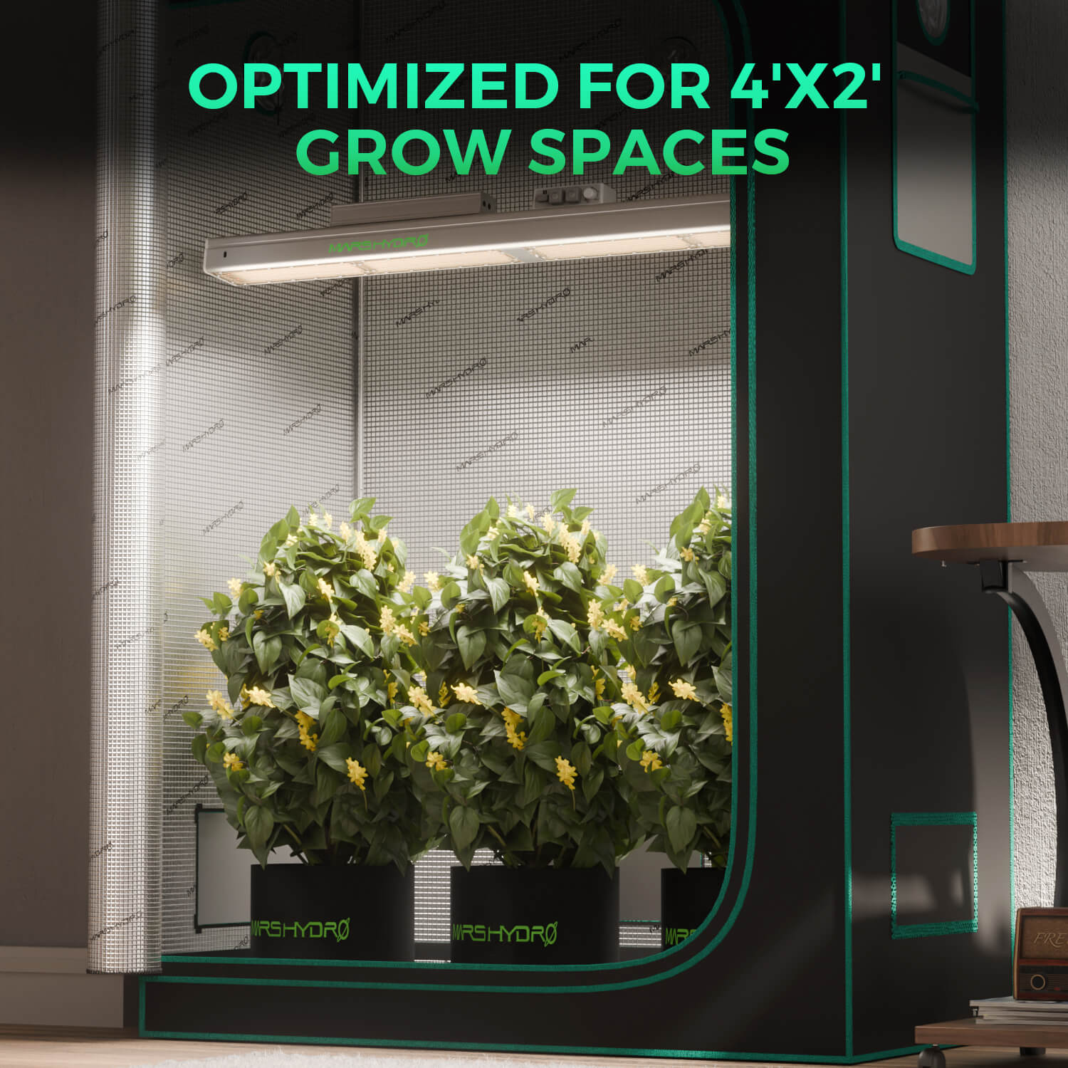 SP 3000 LED 300 Watt