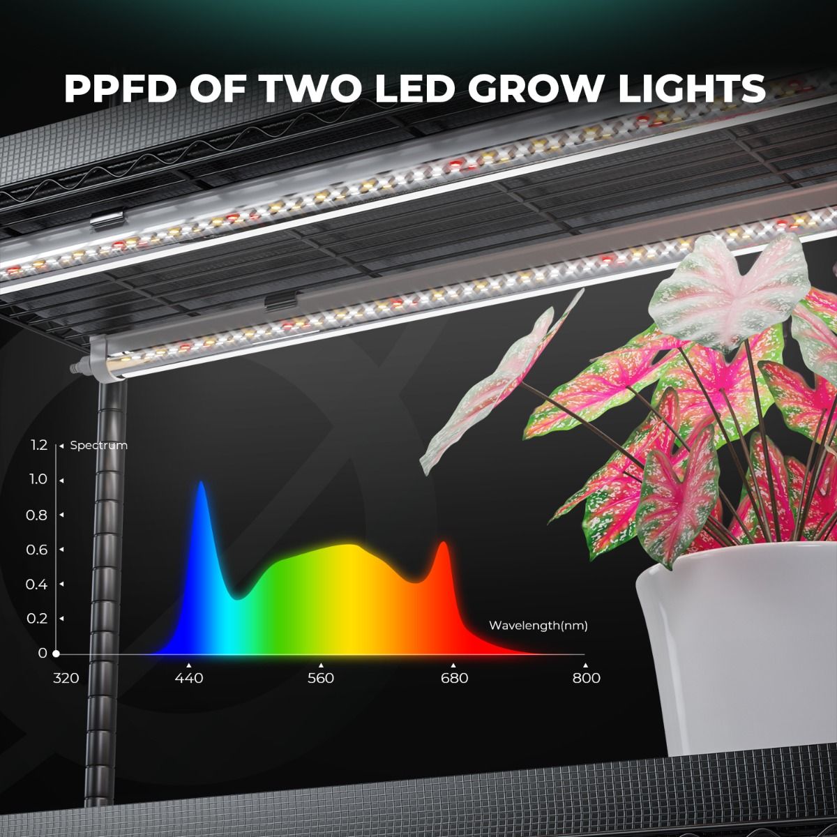 Anzucht/Stecklinge Komplettset (95x35x150 cm) 150 Watt LED