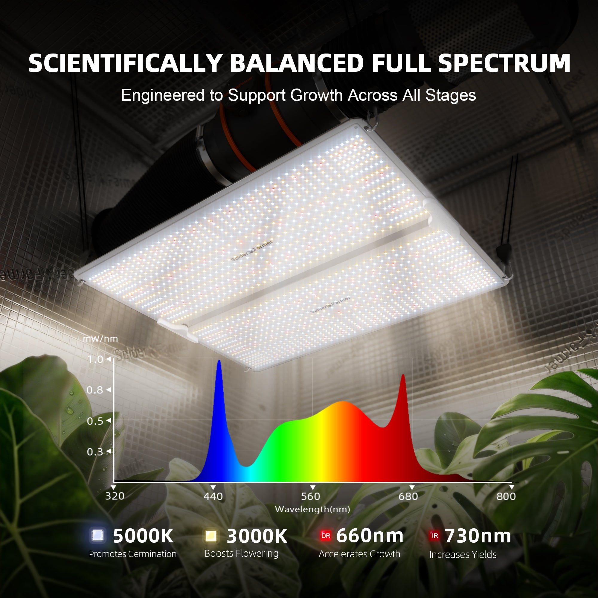 Spider Farmer SF4000 LED 450 Watt – Produktbild 2
