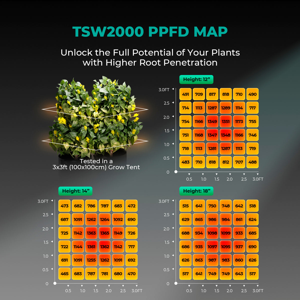 Mars Hydro TSW2000 – PPFD-Lichtverteilung