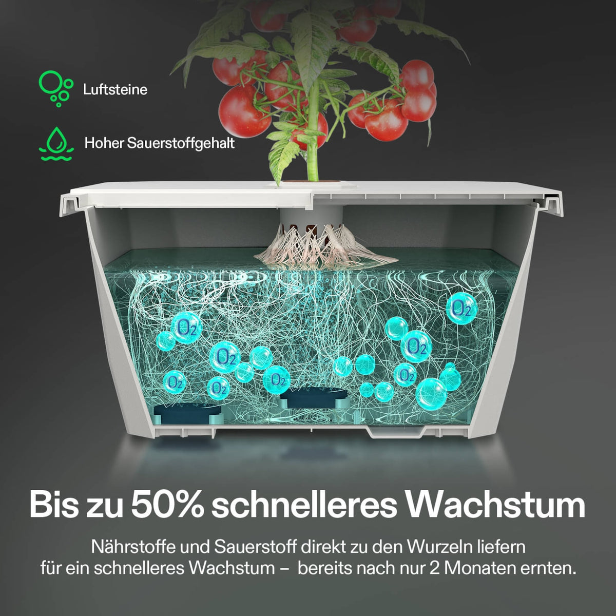 VGrow Y18 Smart Box & DWC Set – DWC-System