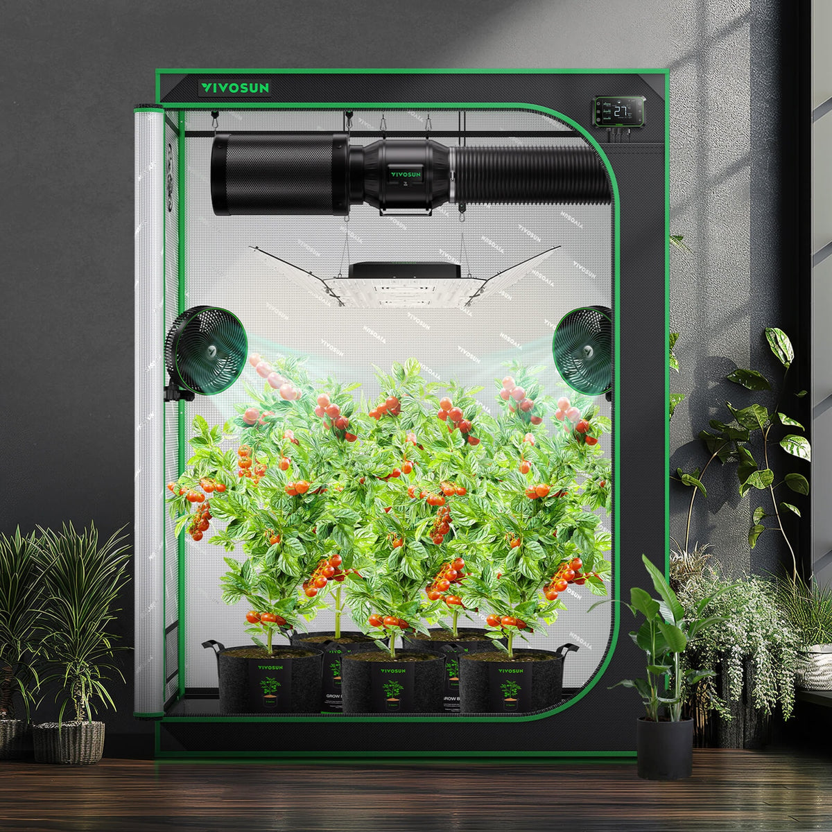 VIVOSUN S538 Growbox 150×80×200 cm – Galerie 9