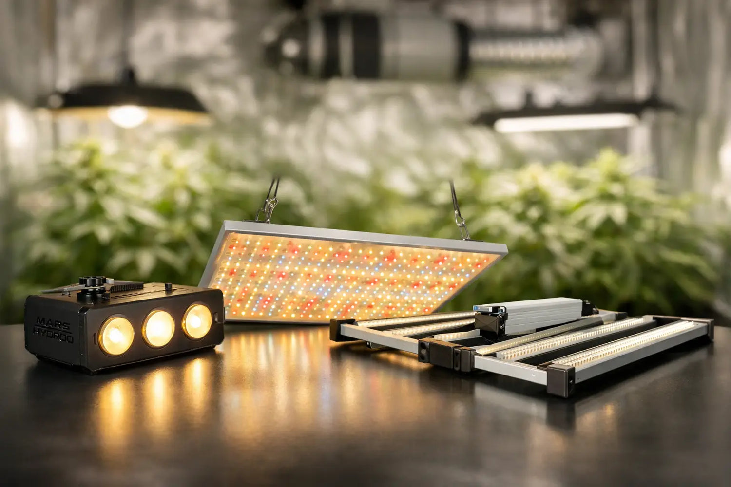 Mars Hydro LED Vergleich: Welche Serie passt?