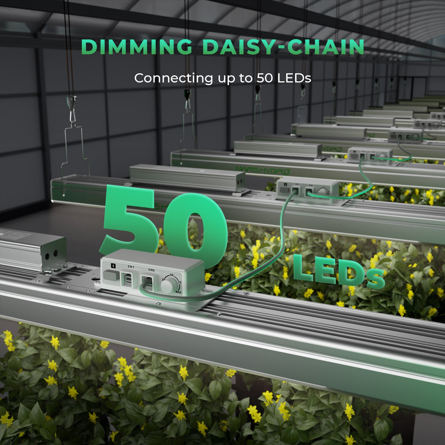 SP 3000 LED 300 Watt