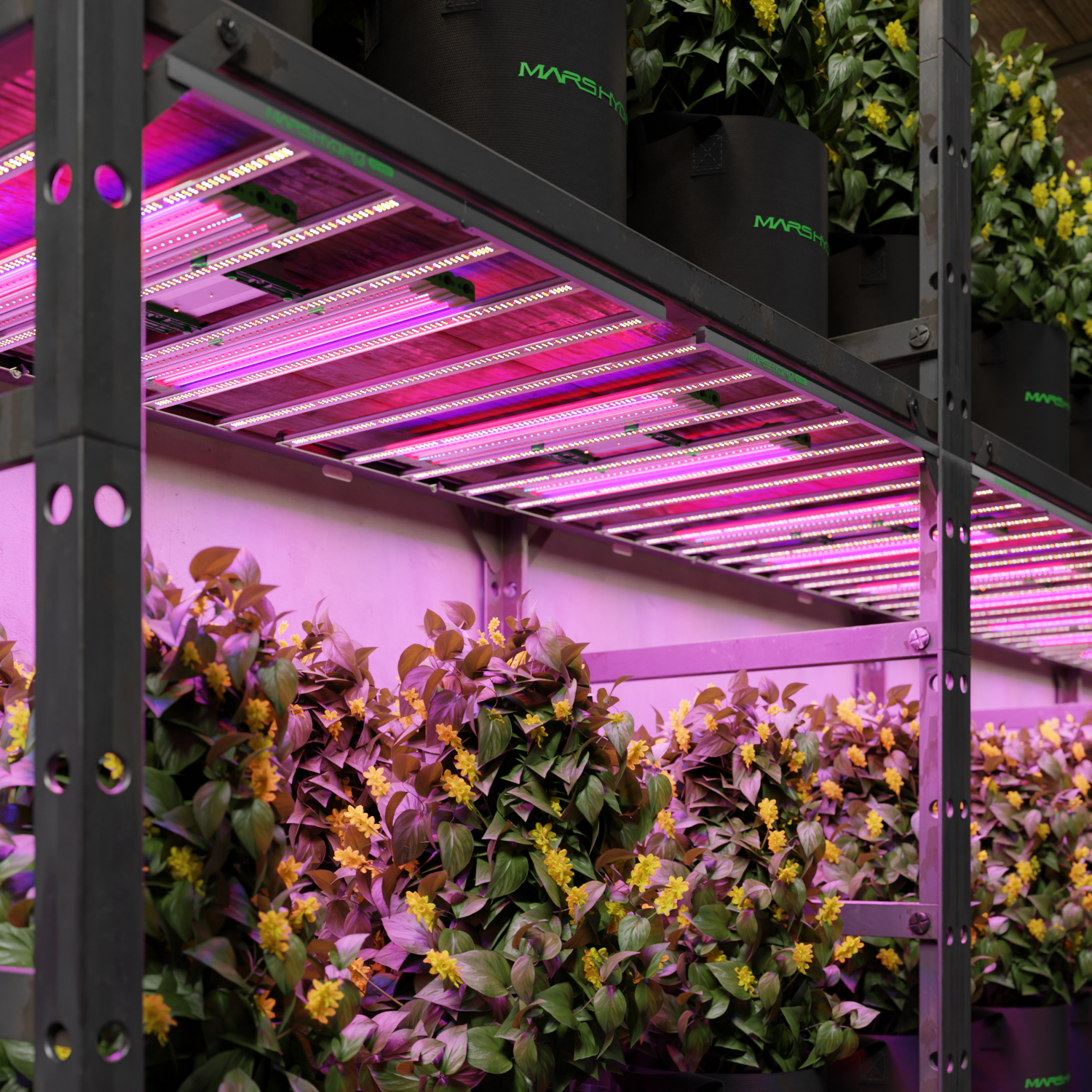 ADlite UV und IR LED Zusatzbeleuchtung 46 Watt