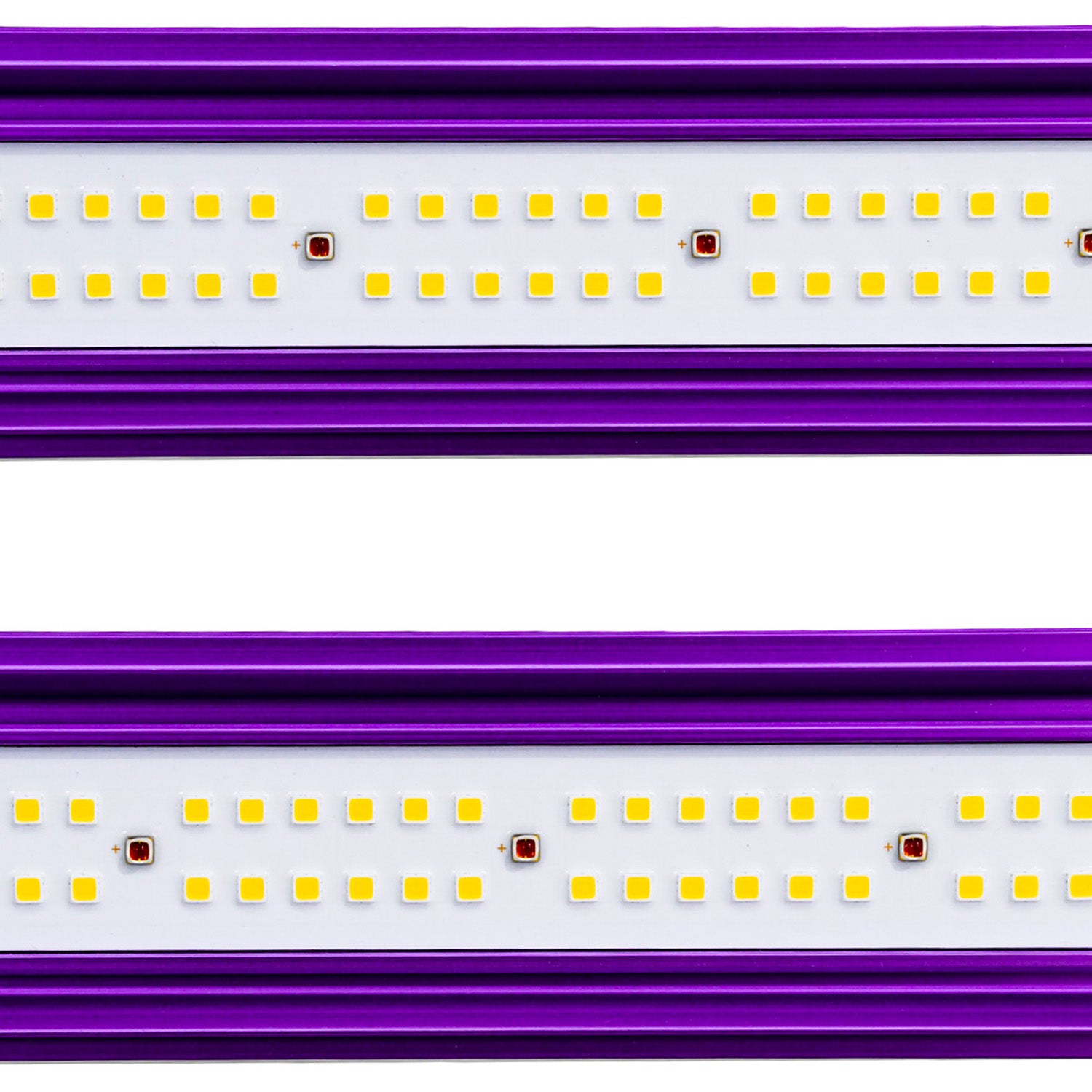 ZEUS PRO 2.9 LED 465 Watt