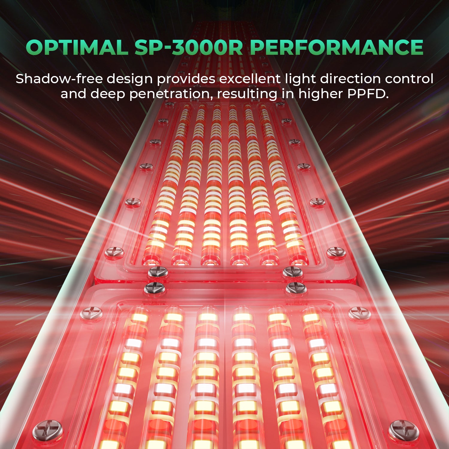 SP 3000R LED 300 Watt