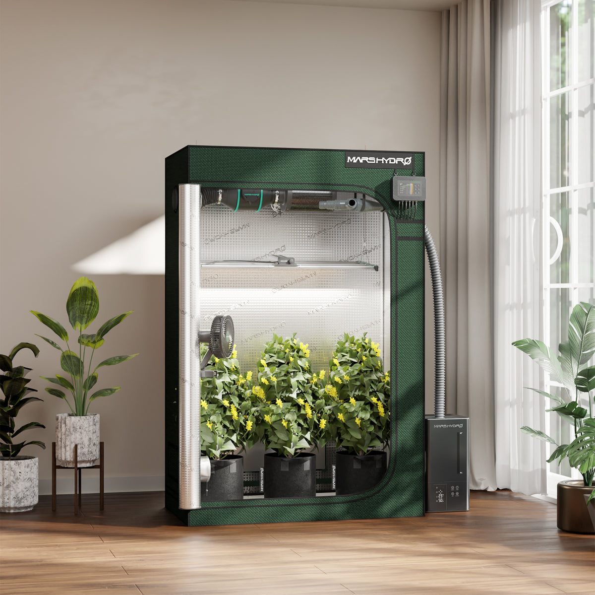Mars Hydro FC4000 – Growbox im Einsatz