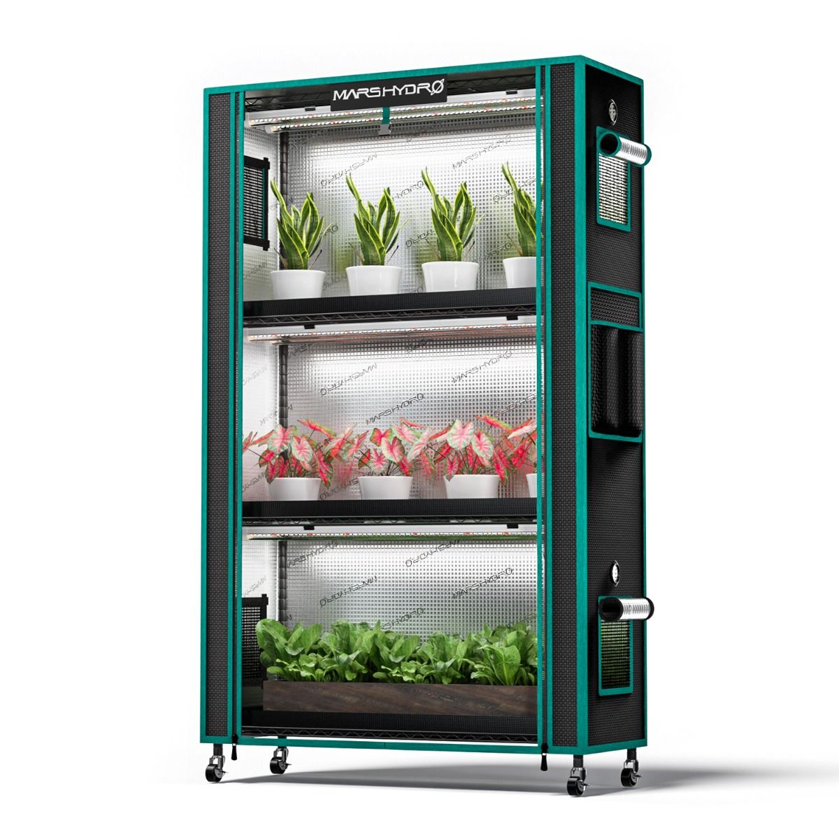 Anzucht/Stecklinge Komplettset (95x35x150 cm) 150 Watt LED