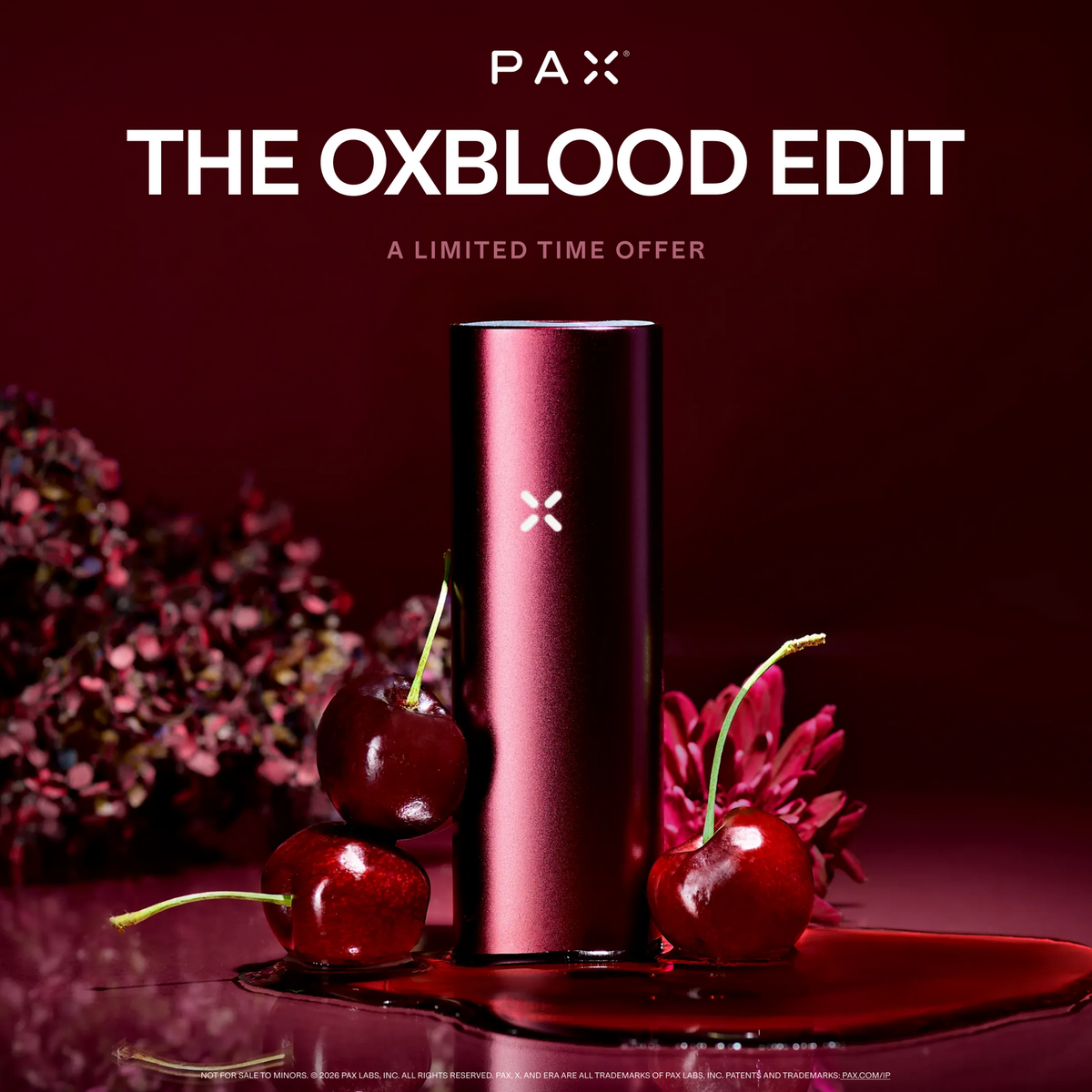 PAX Mini 2 Oxblood – Produktansicht 8