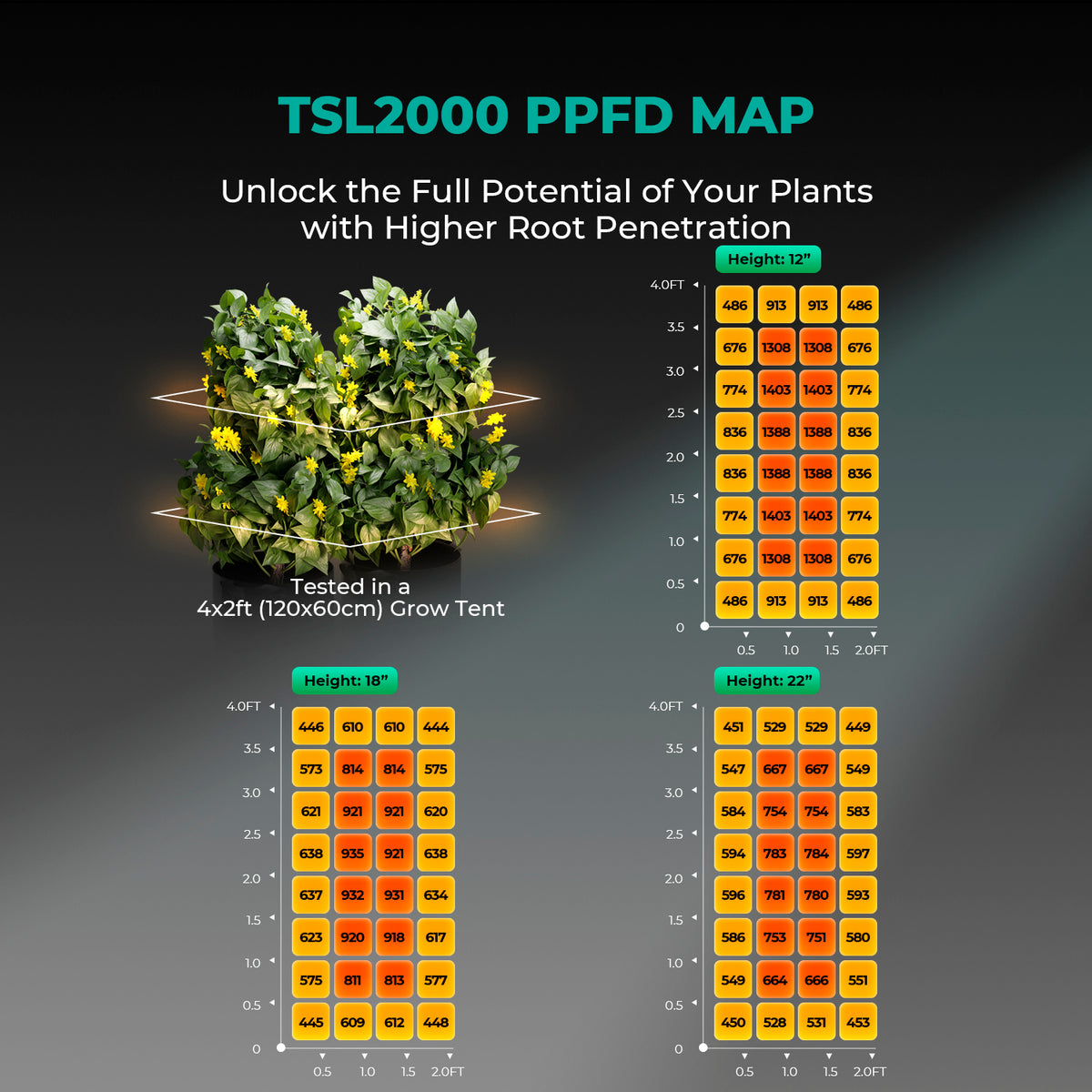 Mars Hydro TSL2000 – PPFD-Lichtverteilung