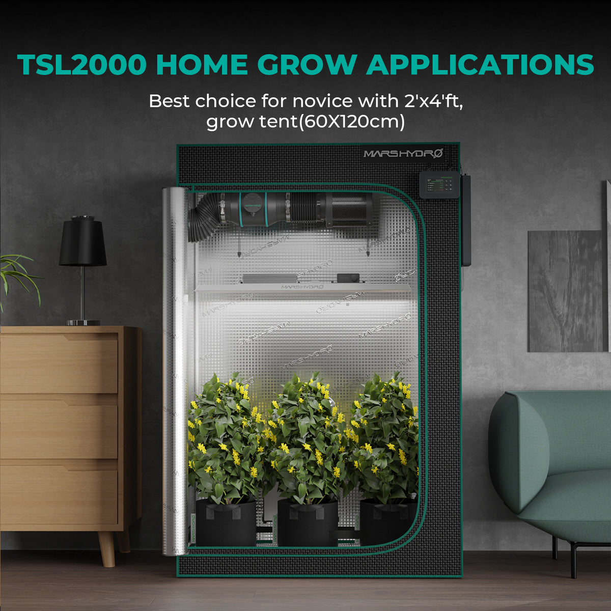Mars Hydro TSL2000 – Growbox im Einsatz