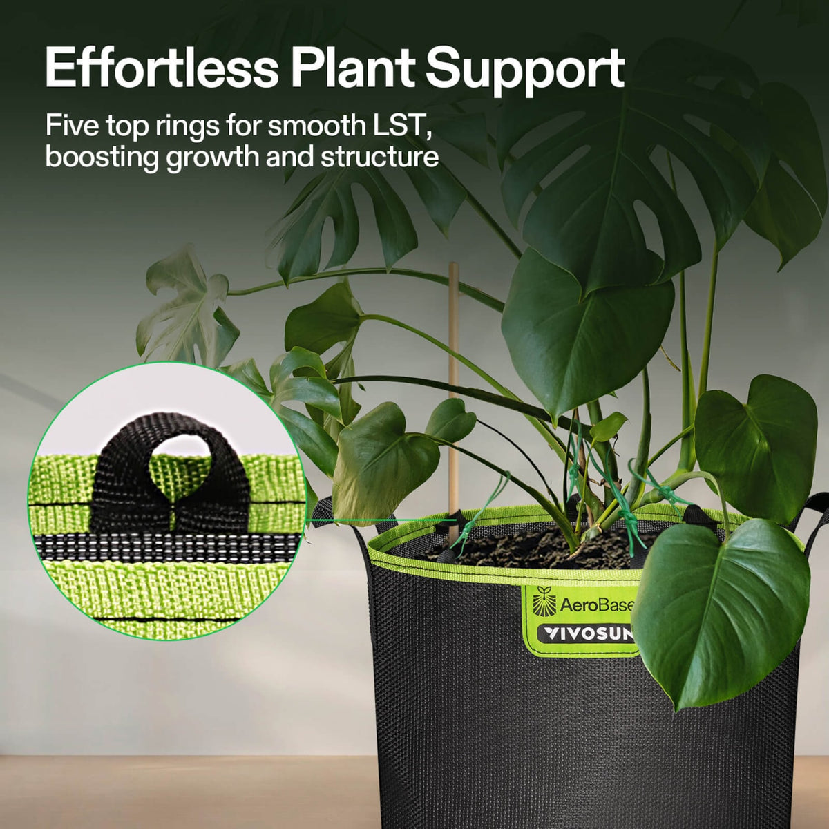 VIVOSUN AeroBase Grow Bags 20 L im 3er-Pack – Galerie 5