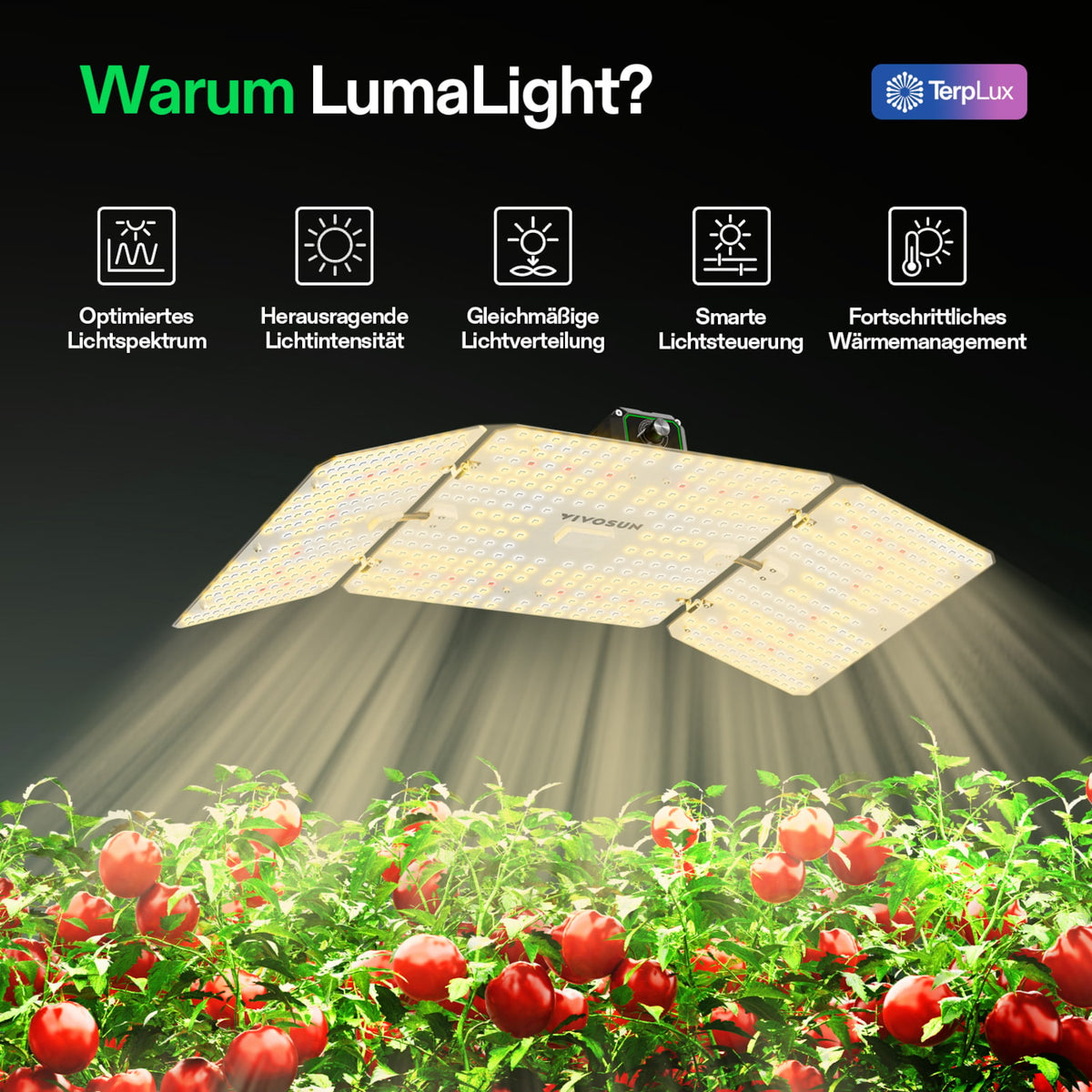 VIVOSUN LumaLight 200W LED Pflanzenlampe – Galerie 2