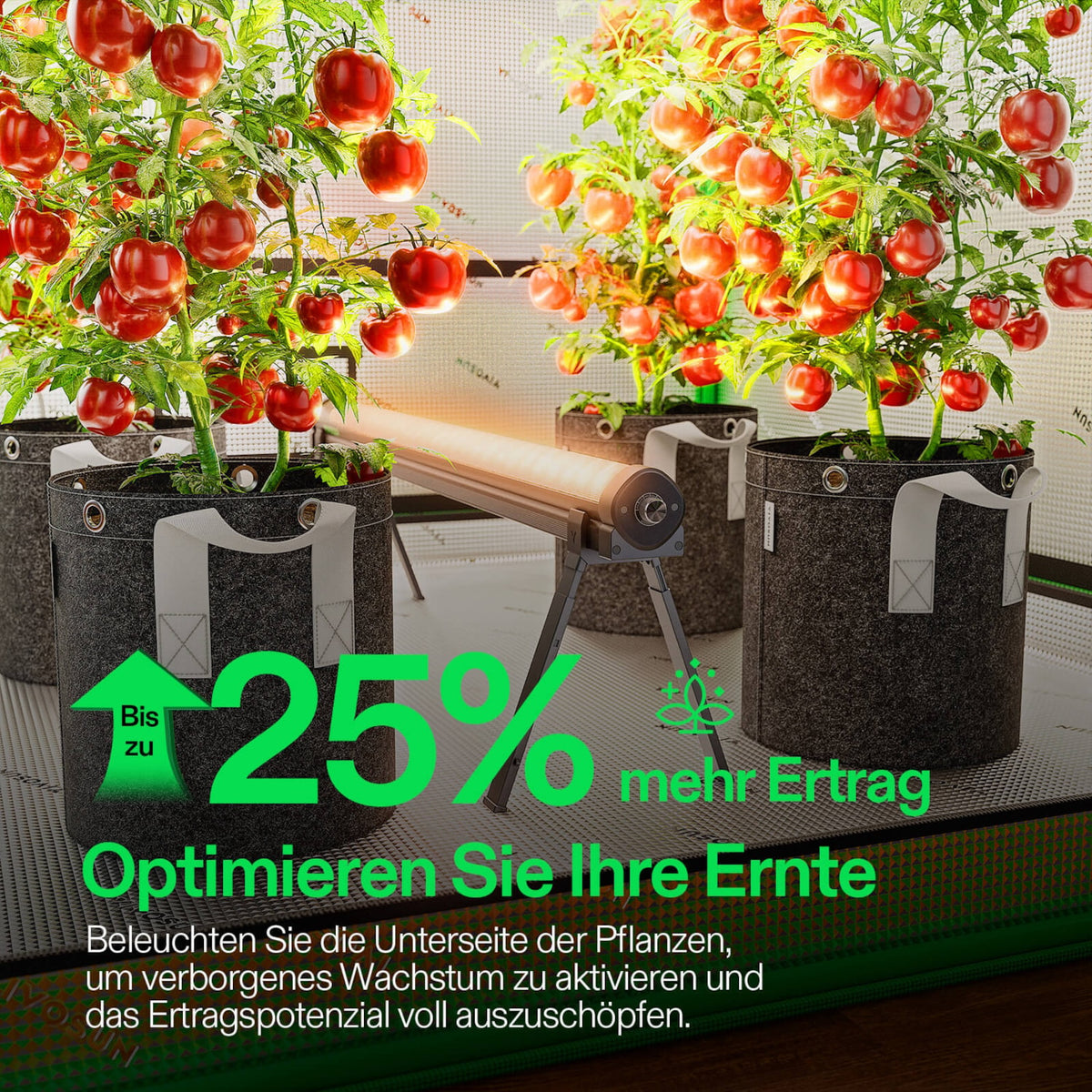 VIVOSUN LumaRay Under Canopy 100W LED-Zusatzbeleuchtung – Galerie 2